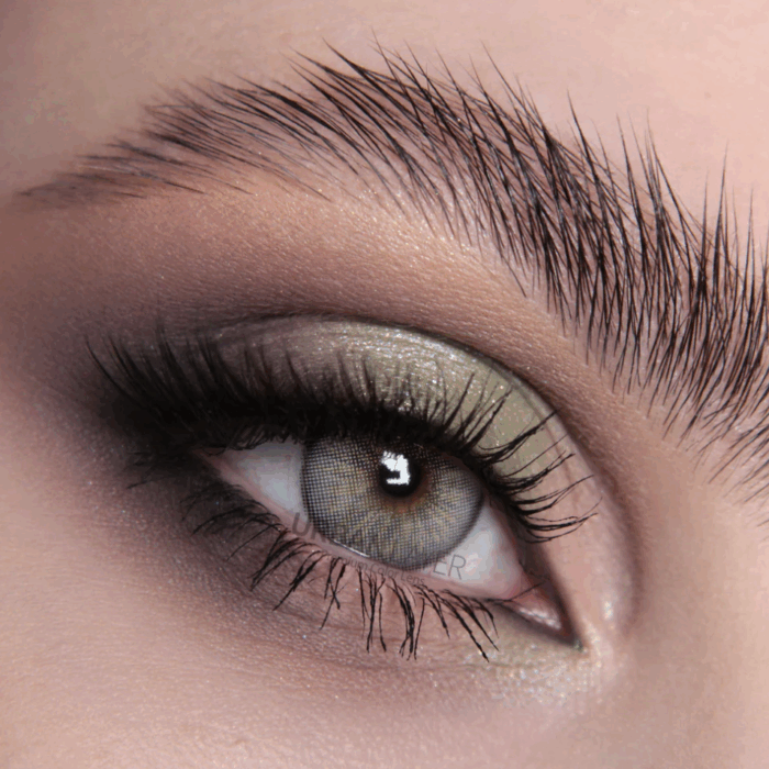 Orlando Gray - Image 1